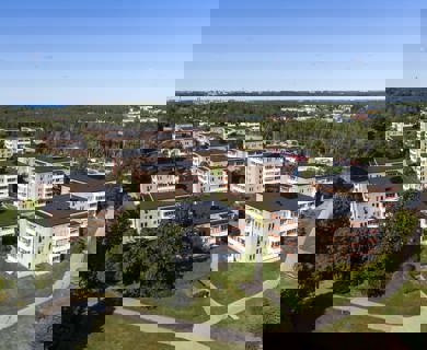 DJI 0870